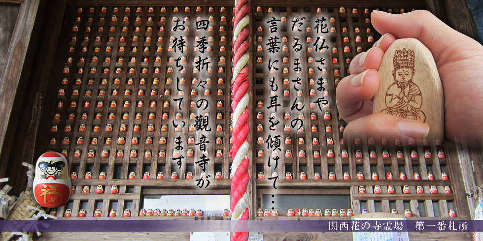 丹州観音寺　あじさい寺